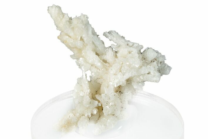 Intricate, Fluorescent Aragonite Formation - Nevada #295262